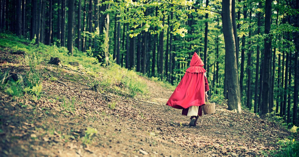 Guardiana del Bosque: The Unexpected Character in Little Red Riding Hood